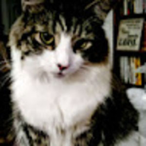 Meet your Posher, Jp